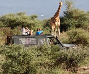 Game Drives in Arusha national Park