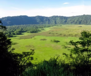 Ngurdoto Crater