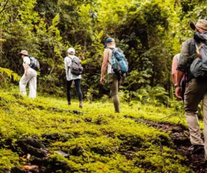 Walking Safaris in Arusha National Park