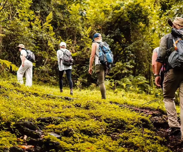Walking Safaris in Arusha National Park